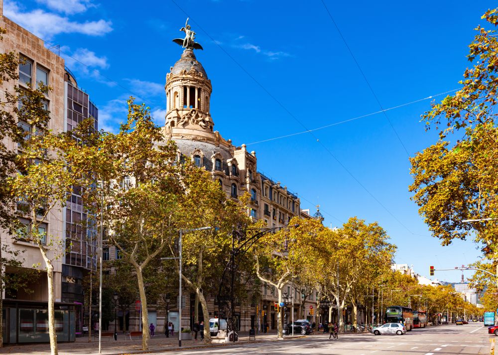 Une rue bordée d'arbres dans une ville aux bâtiments historiques à Barcelone