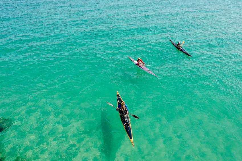 kayak evjf palma