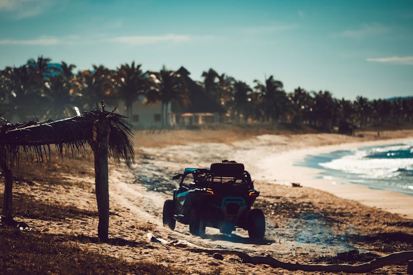 quad evjf palma